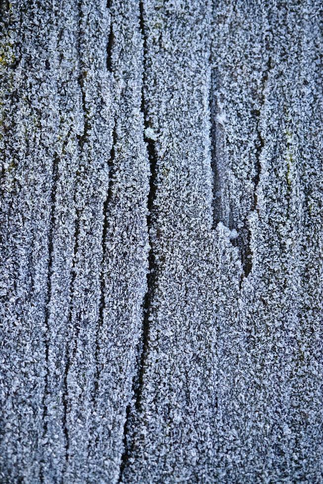 ghiaccio sul terreno di legno foto