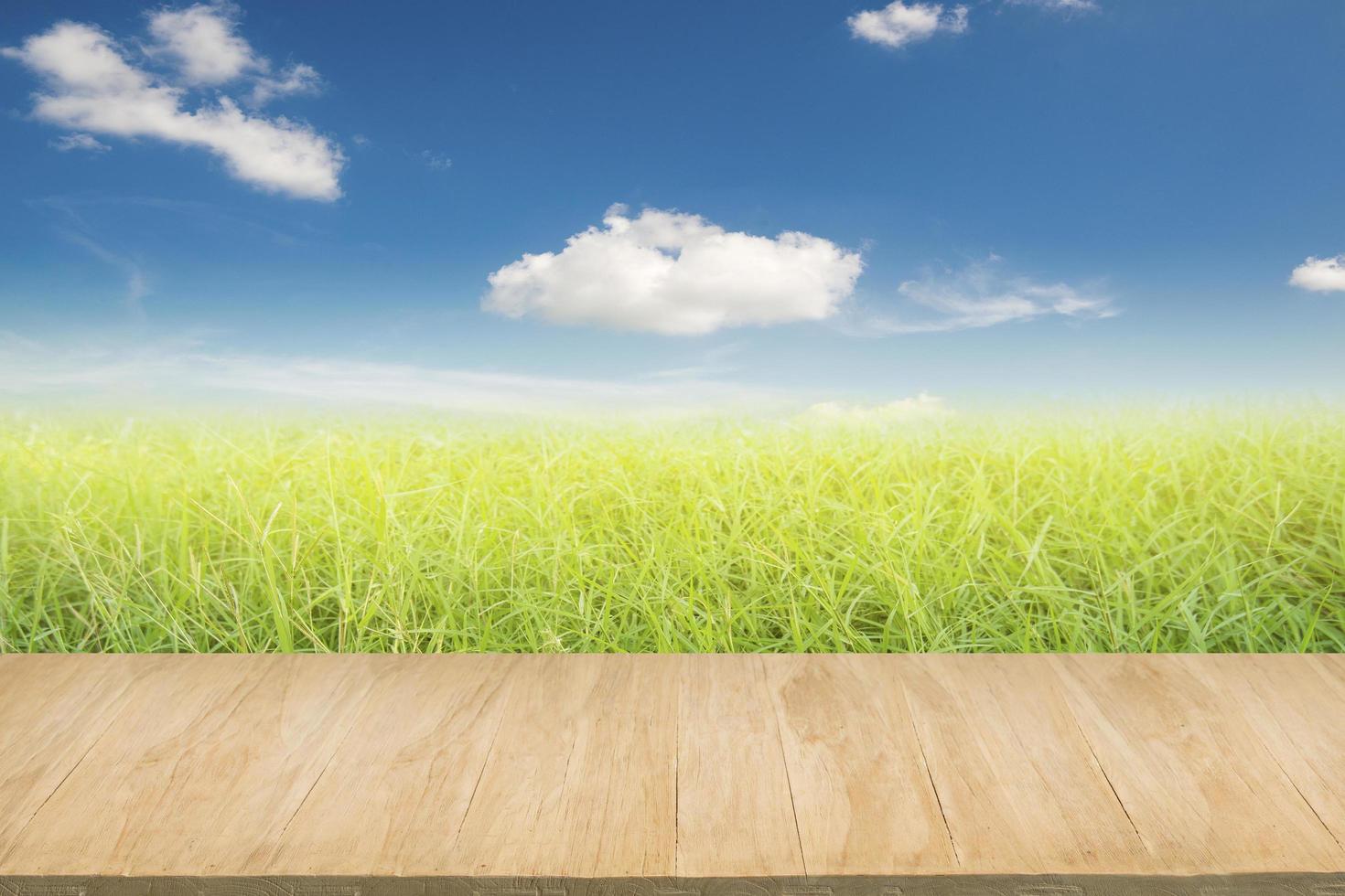 pavimento in legno con sfondo di campo di erba verde foto