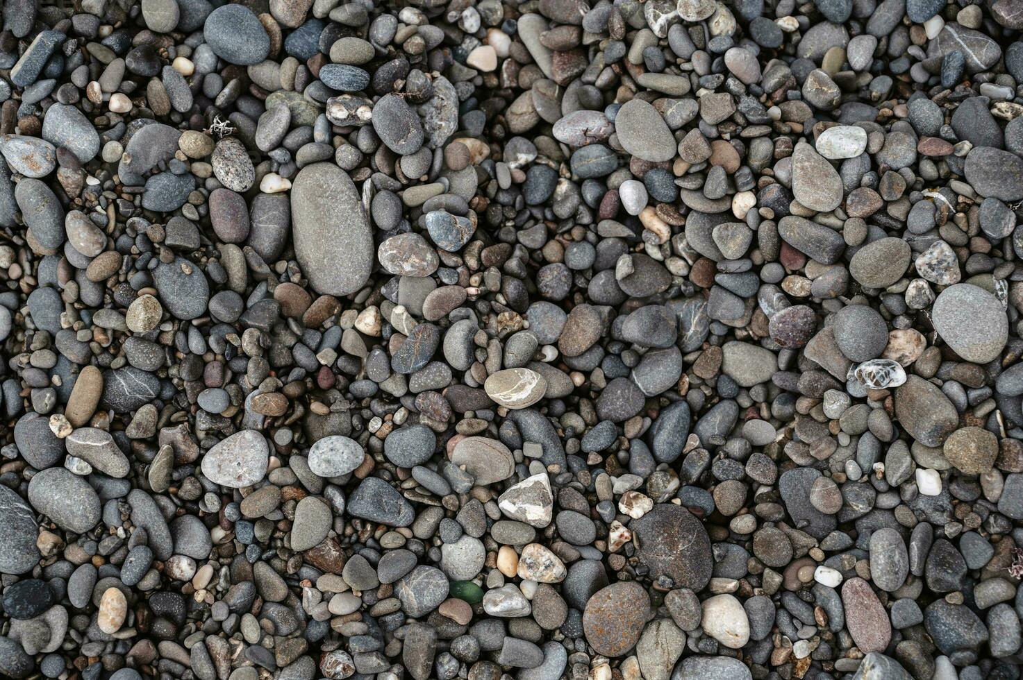 liscio sfondo con un' struttura di diverso dimensioni di ciottoli. ciottolo spiaggia. avvicinamento. foto