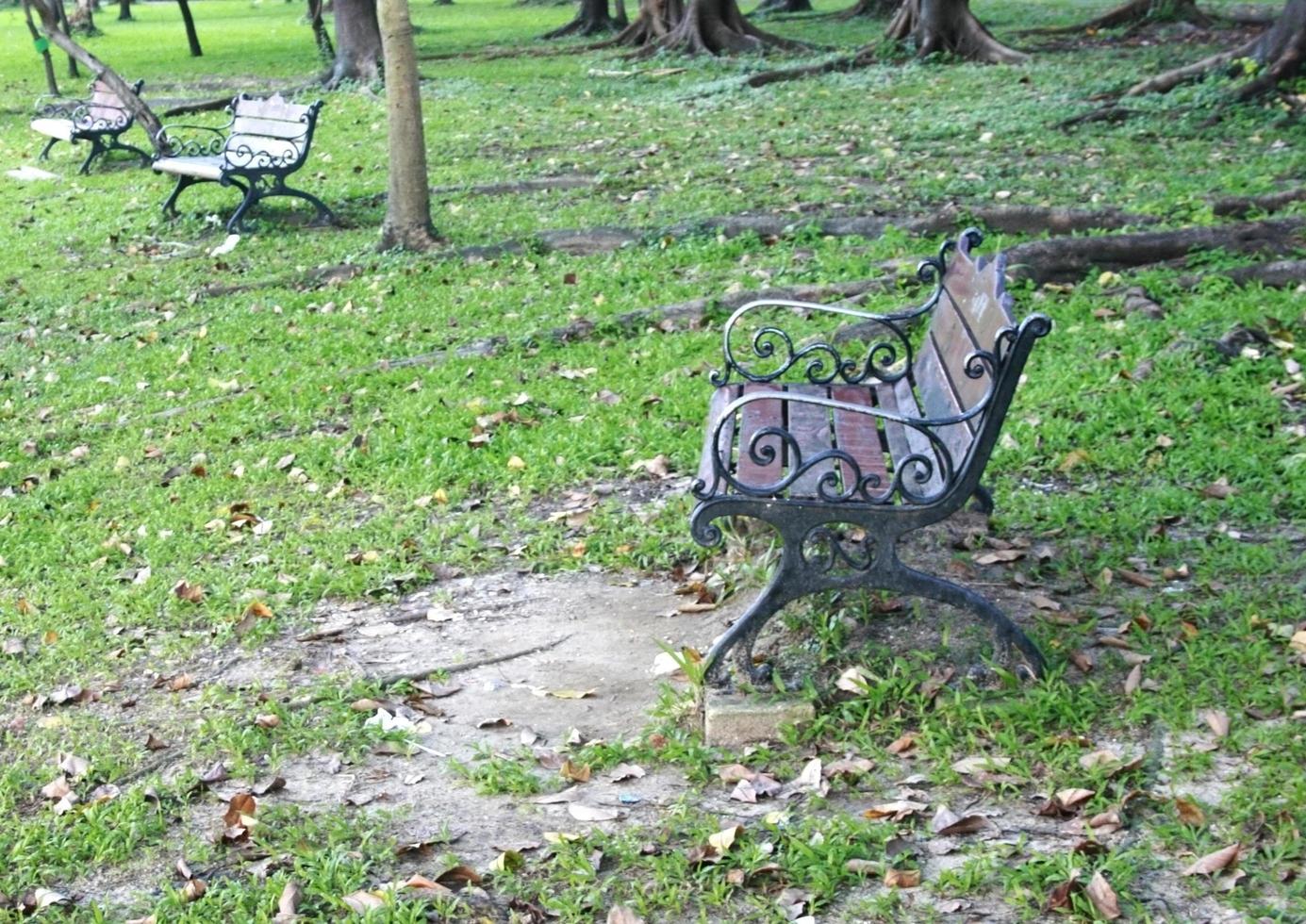 panchina da giardino in metallo nel parco foto