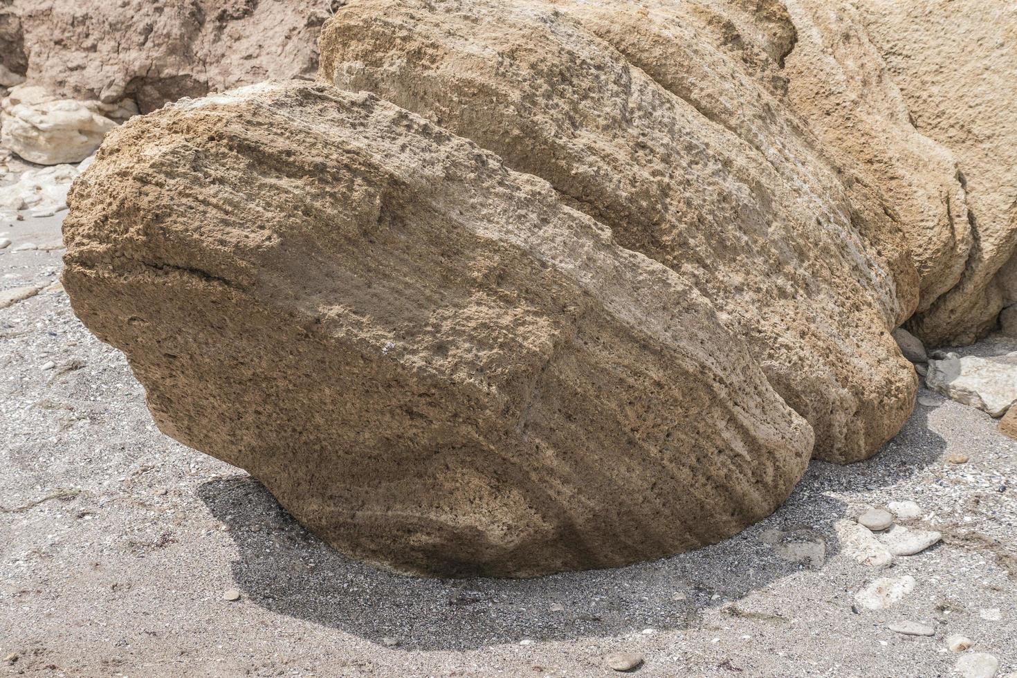 grandi massi marini giacciono sulla spiaggia foto