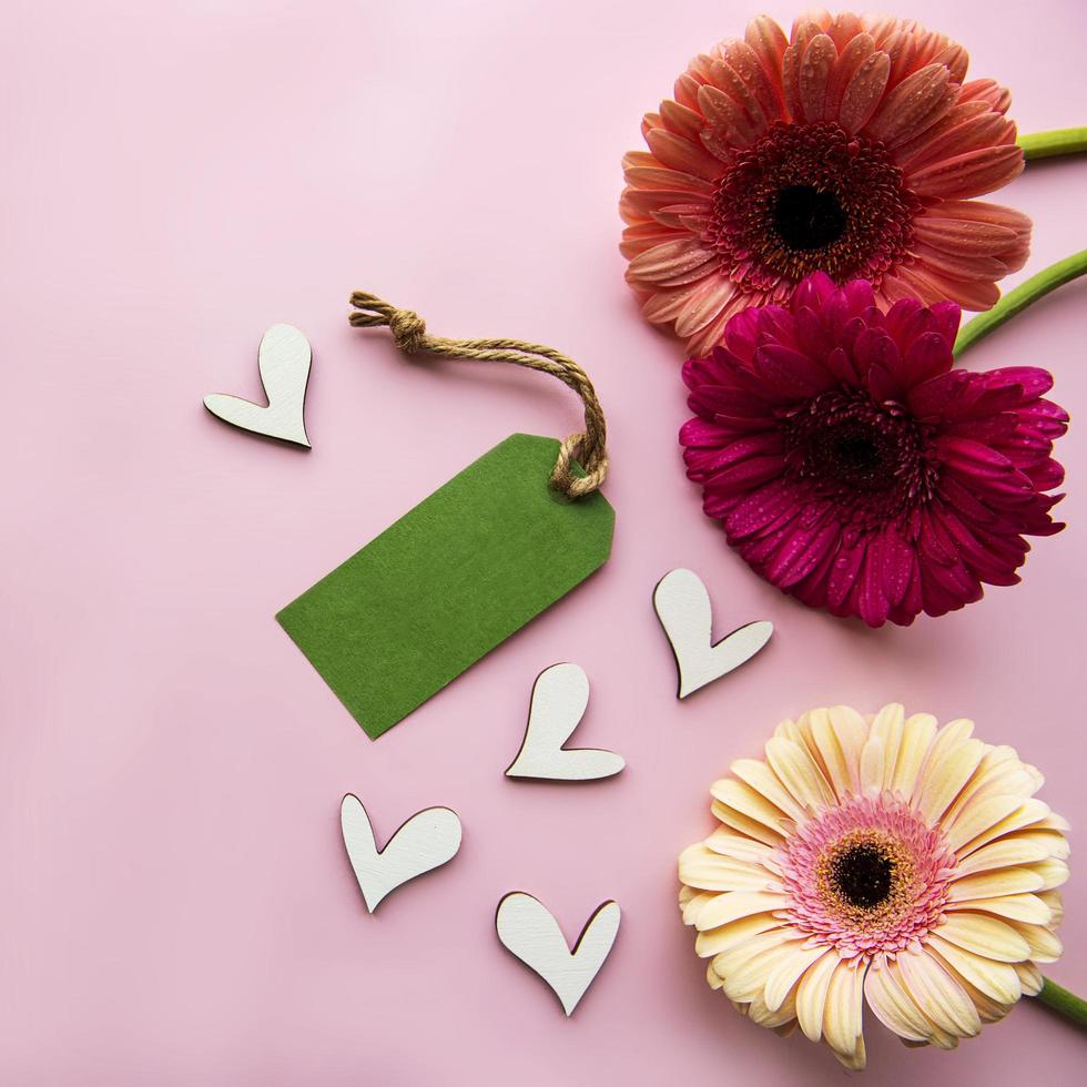 fiori di gerbera su uno sfondo rosa pastello foto