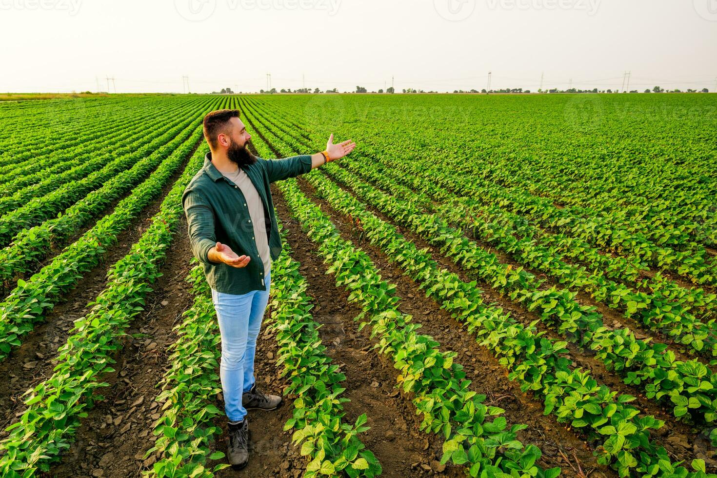ritratto di contadino chi è coltivando soia. lui è soddisfatto con bene progresso di impianti. agricolo occupazione. foto