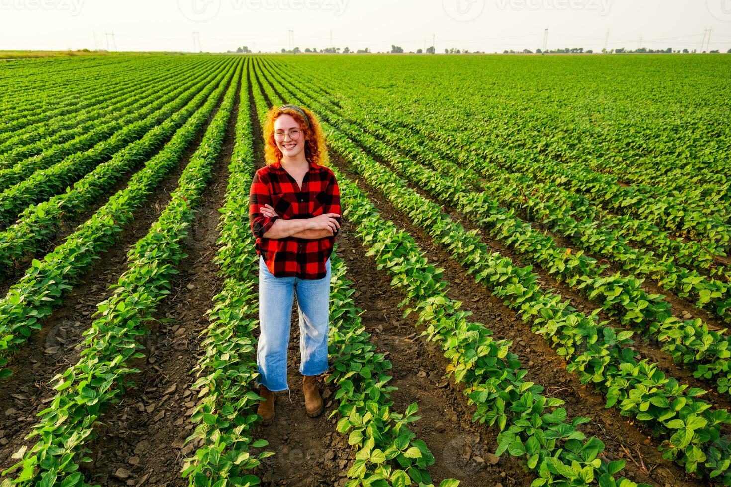 ritratto di femmina contadino chi è coltivando soia. lei è soddisfatto con bene progresso di impianti. agricolo occupazione. foto