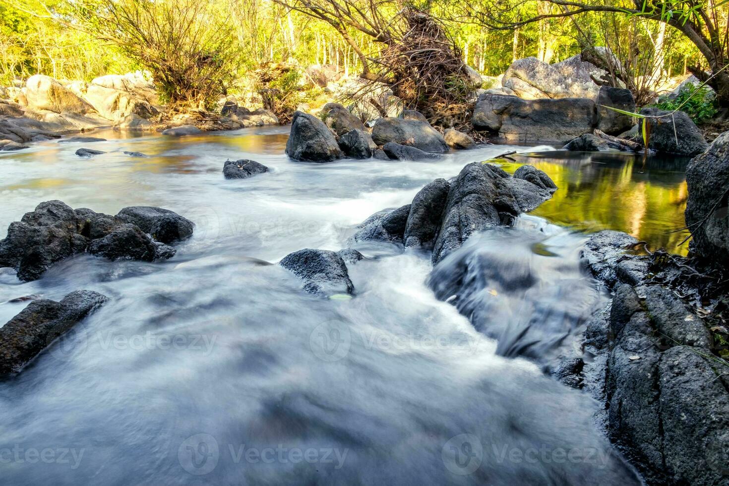 cascata d'oro foresta nel nazionale parco foto