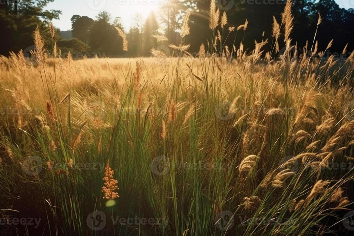 un' campo di alto erba nel il luce del sole. ai generativo foto