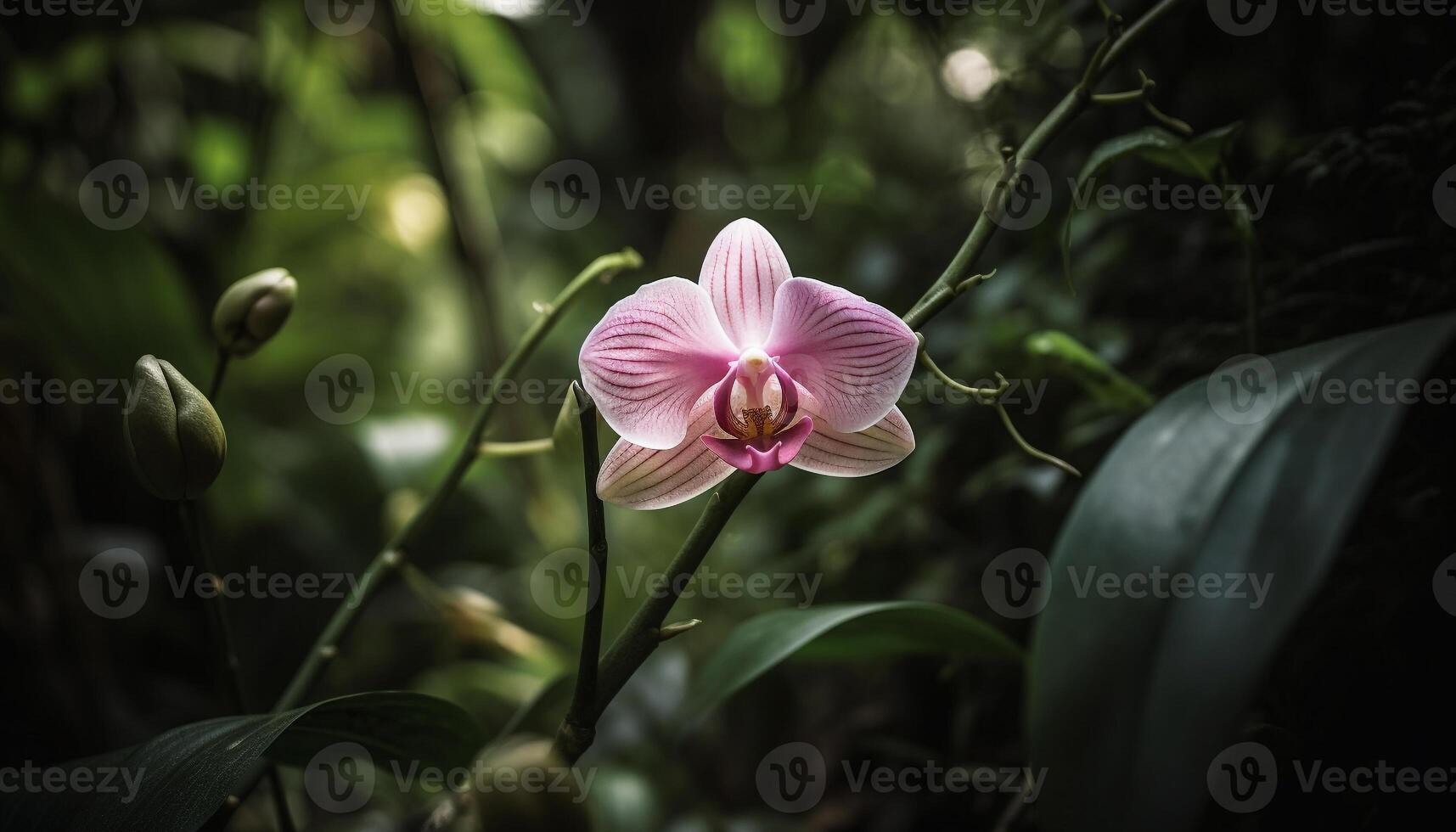 tranquillo scena di elegante orchidee nel fioritura generato di ai foto