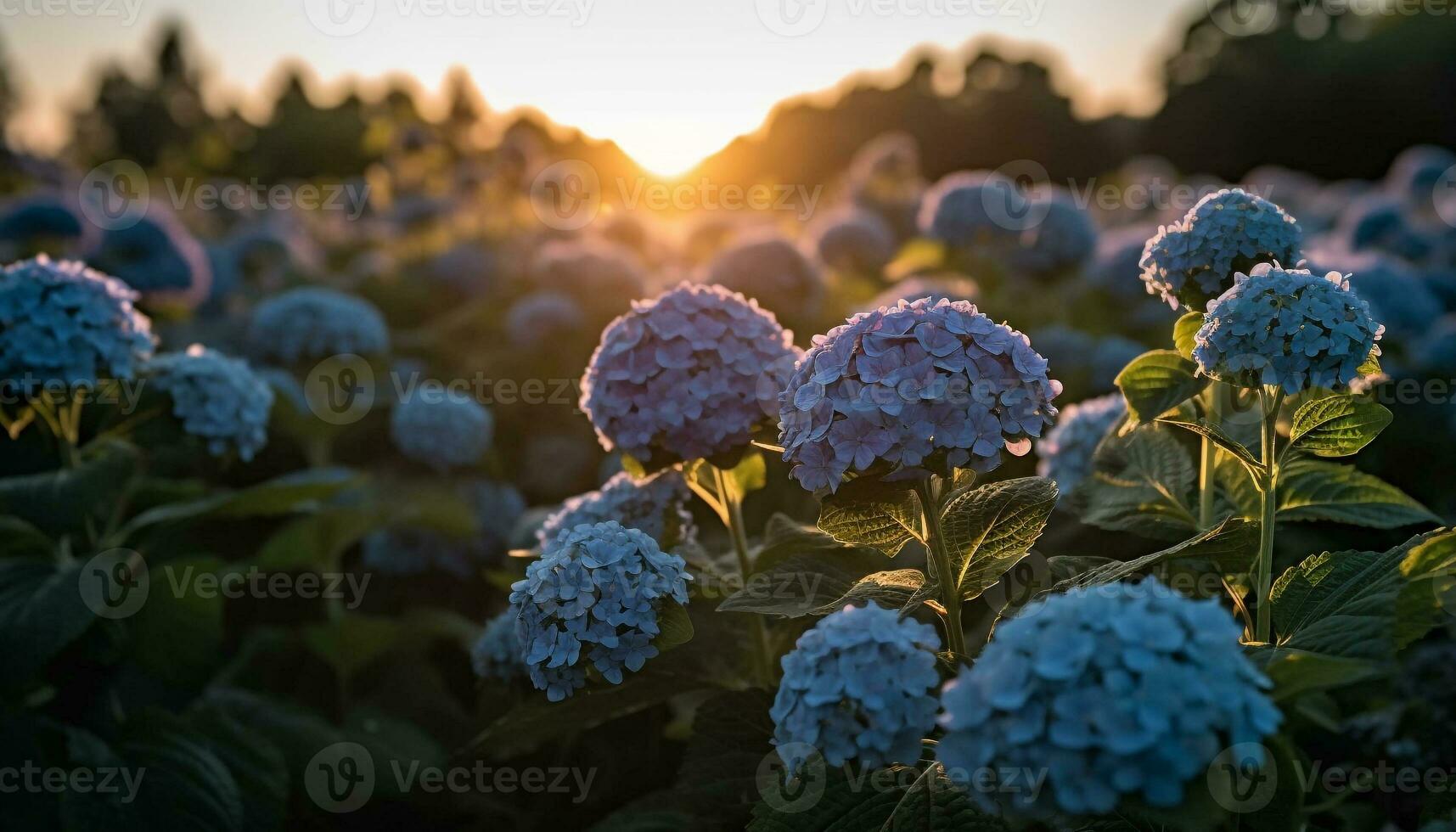 ortensia fiore, fresco e vivace nel natura giardino generato di ai foto