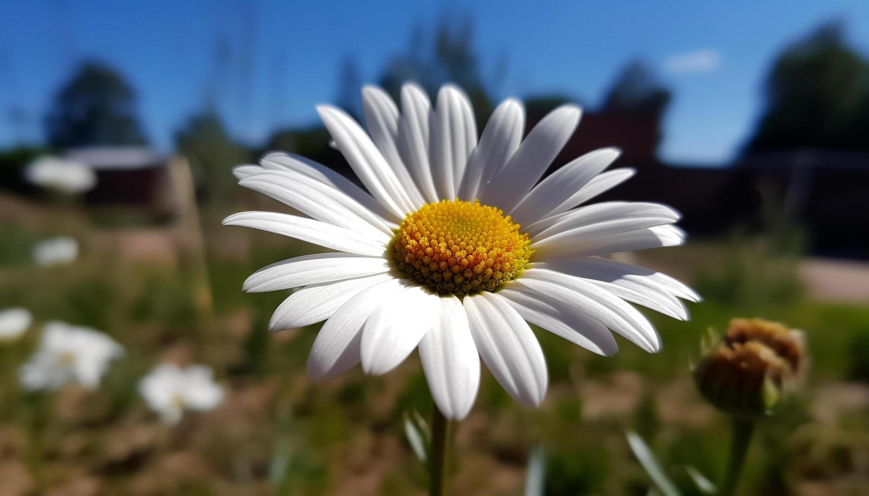 vivace camomilla fiorire nel verde prato, estate bellezza nel natura generato di ai foto