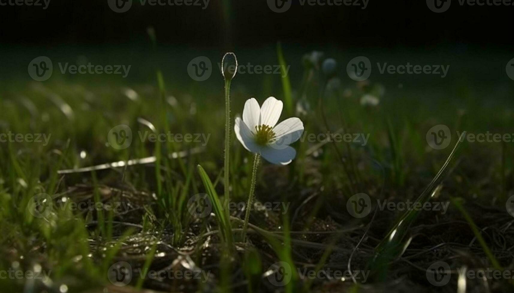 fresco fiori selvatici fioritura nel il prato, un' bellezza nel natura generato di ai foto