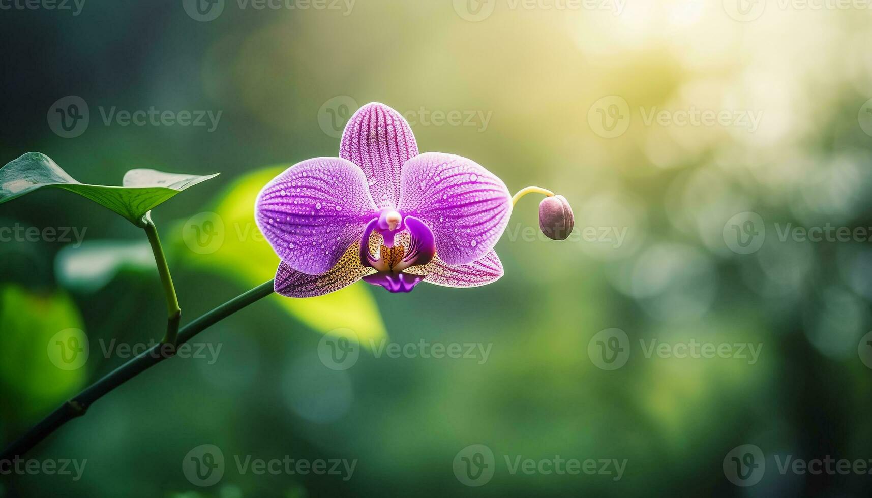 vivace Multi colorato orchidea fiorire nel biologico natura eleganza generato di ai foto