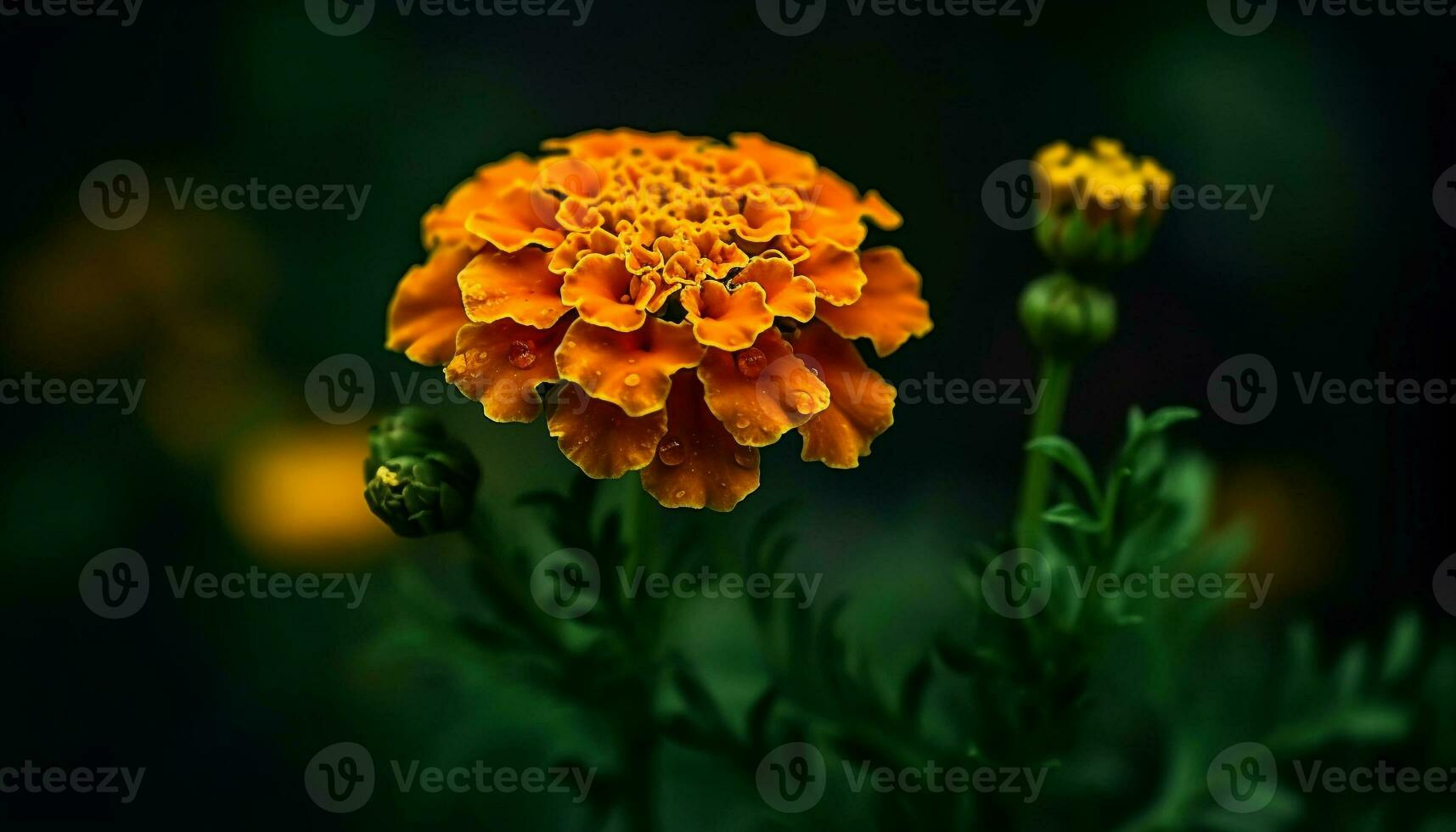 vivace giallo Fiore di campo nel prato, messa a fuoco su polline e biologia generato di ai foto