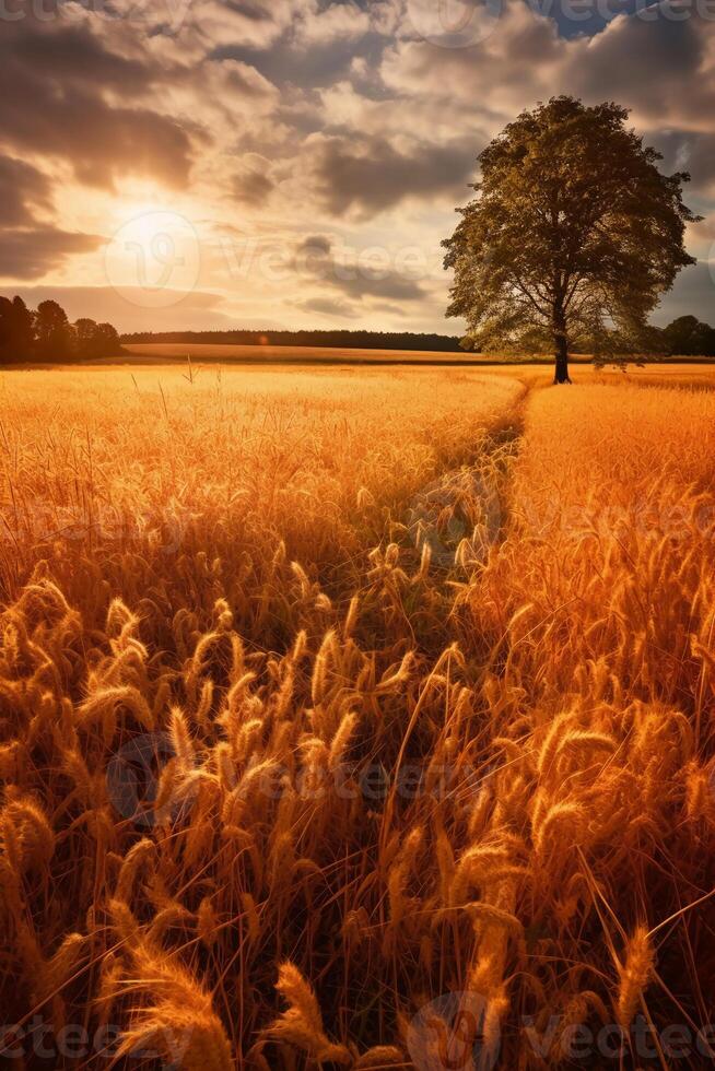 un autunno campo, il sole è splendente, ambra. ai generativo foto