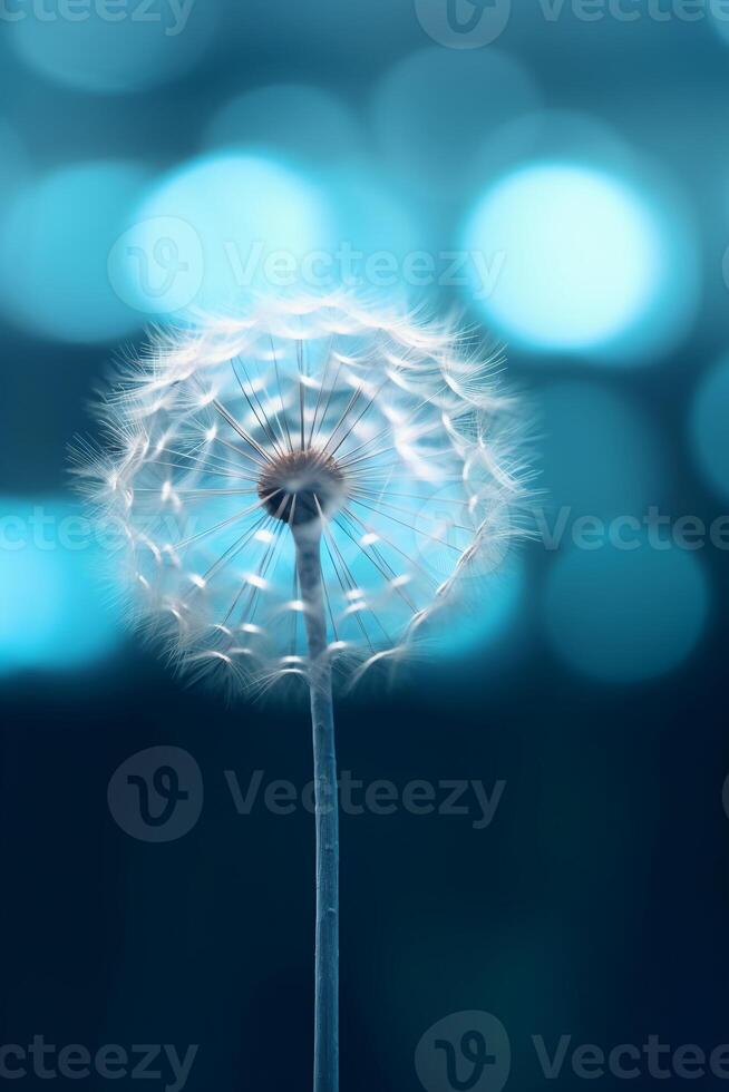 un' Medusa dente di leone nel blu con leggero splendente attraverso esso, nel il stile di lensbaby velluto. ai generativo foto