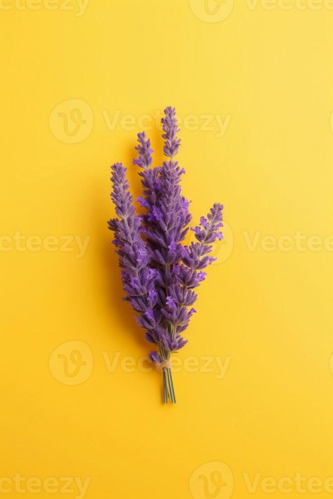 un' poco lavanda su tutti lati di il immagine. ai generativo foto