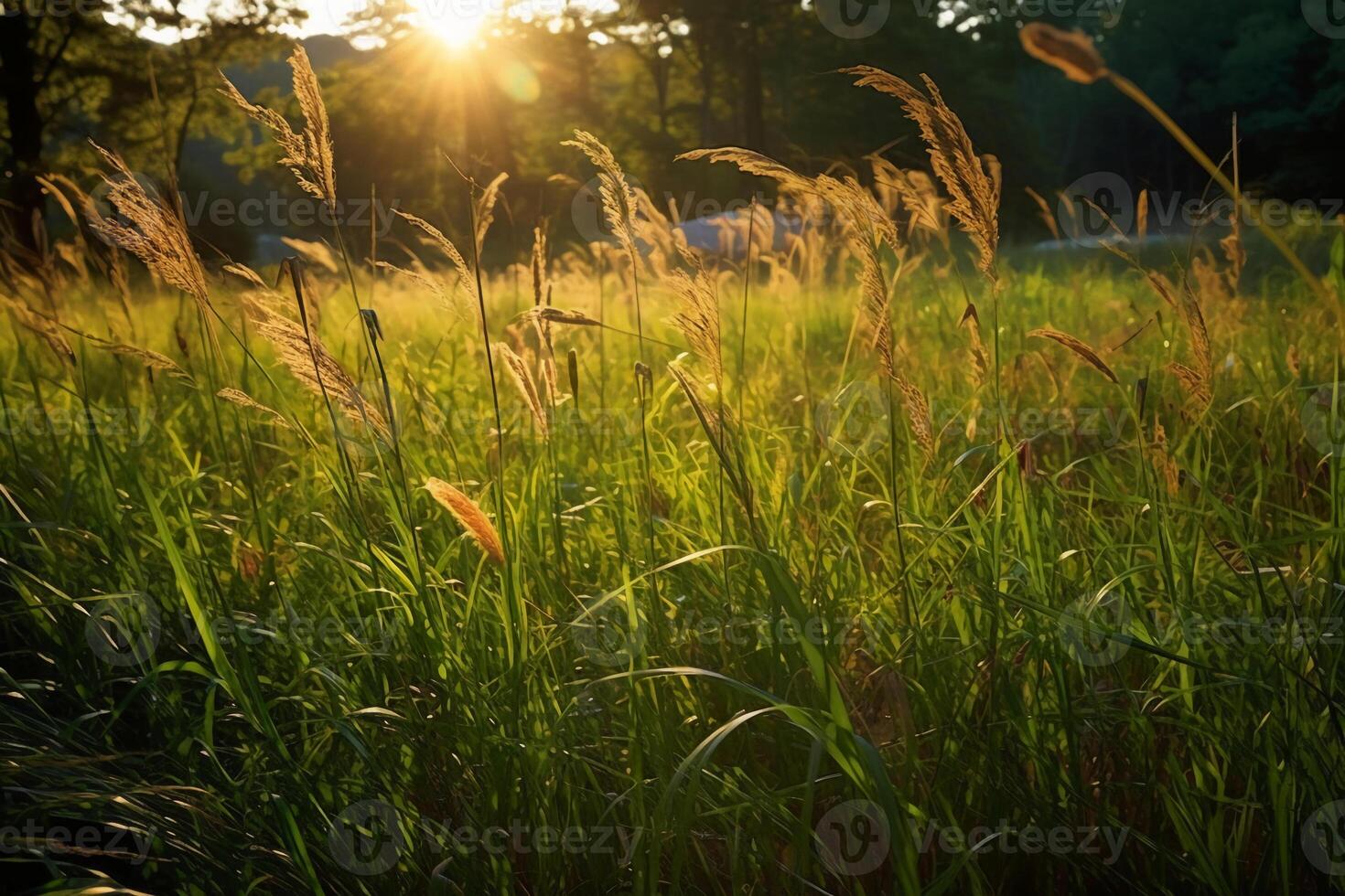 un' campo di alto erba nel il luce del sole. ai generativo foto