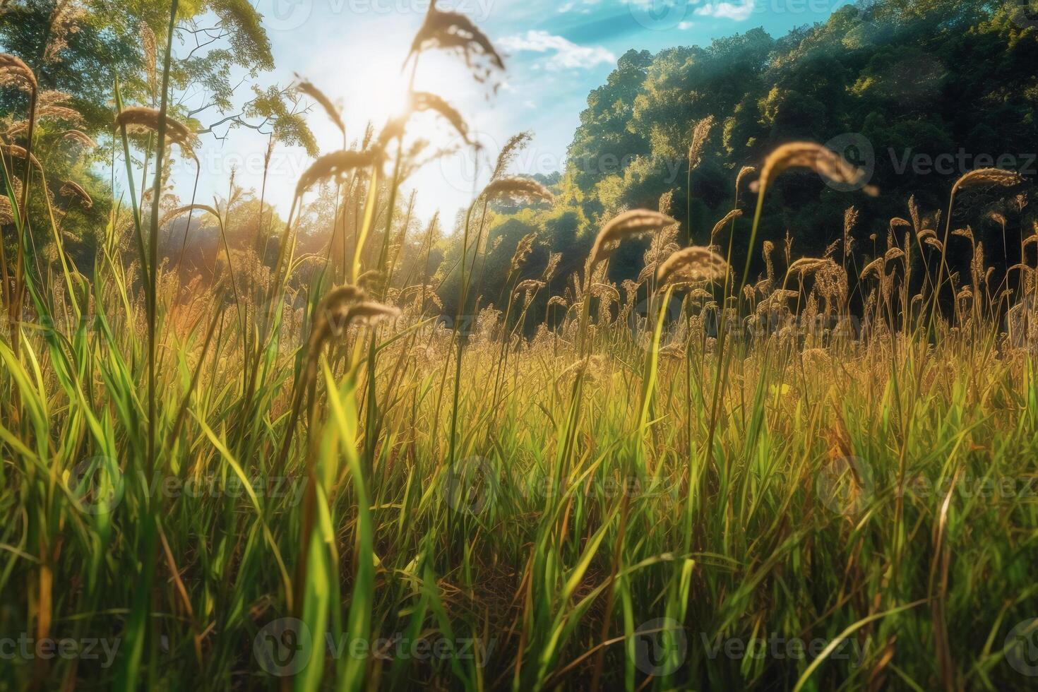 un' campo di alto erba nel il luce del sole. ai generativo foto