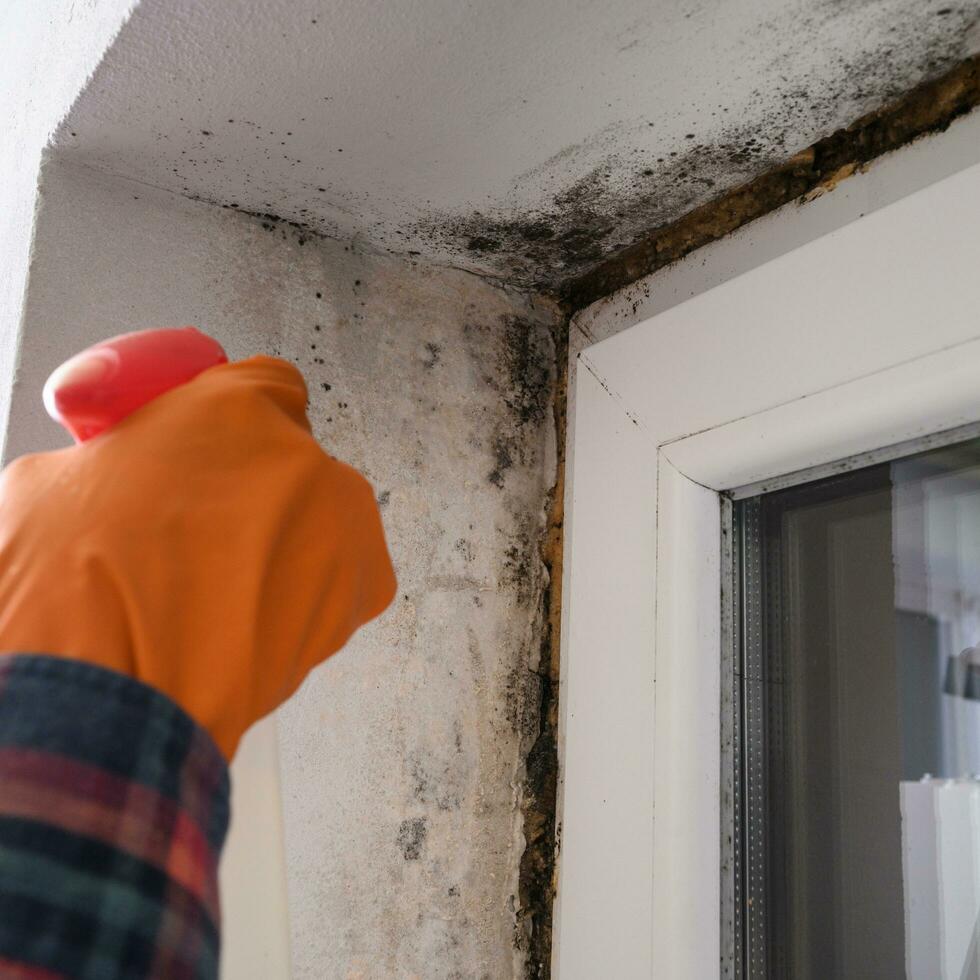 muffa e fungo su un' plastica finestra, un' donna rimuove muffa su un' finestra, un' donna spray sostanze chimiche su un' finestra a partire dal muffa. foto