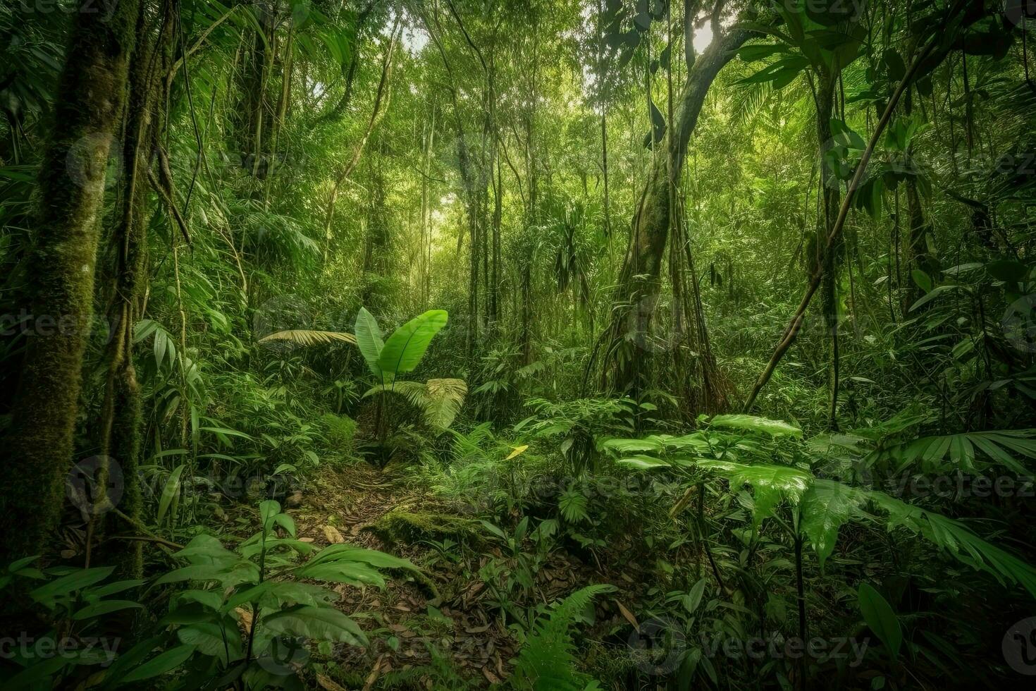 ai generato foresta pluviale è uno di il maggior parte biodiversità ecosistemi su il pianeta. foto