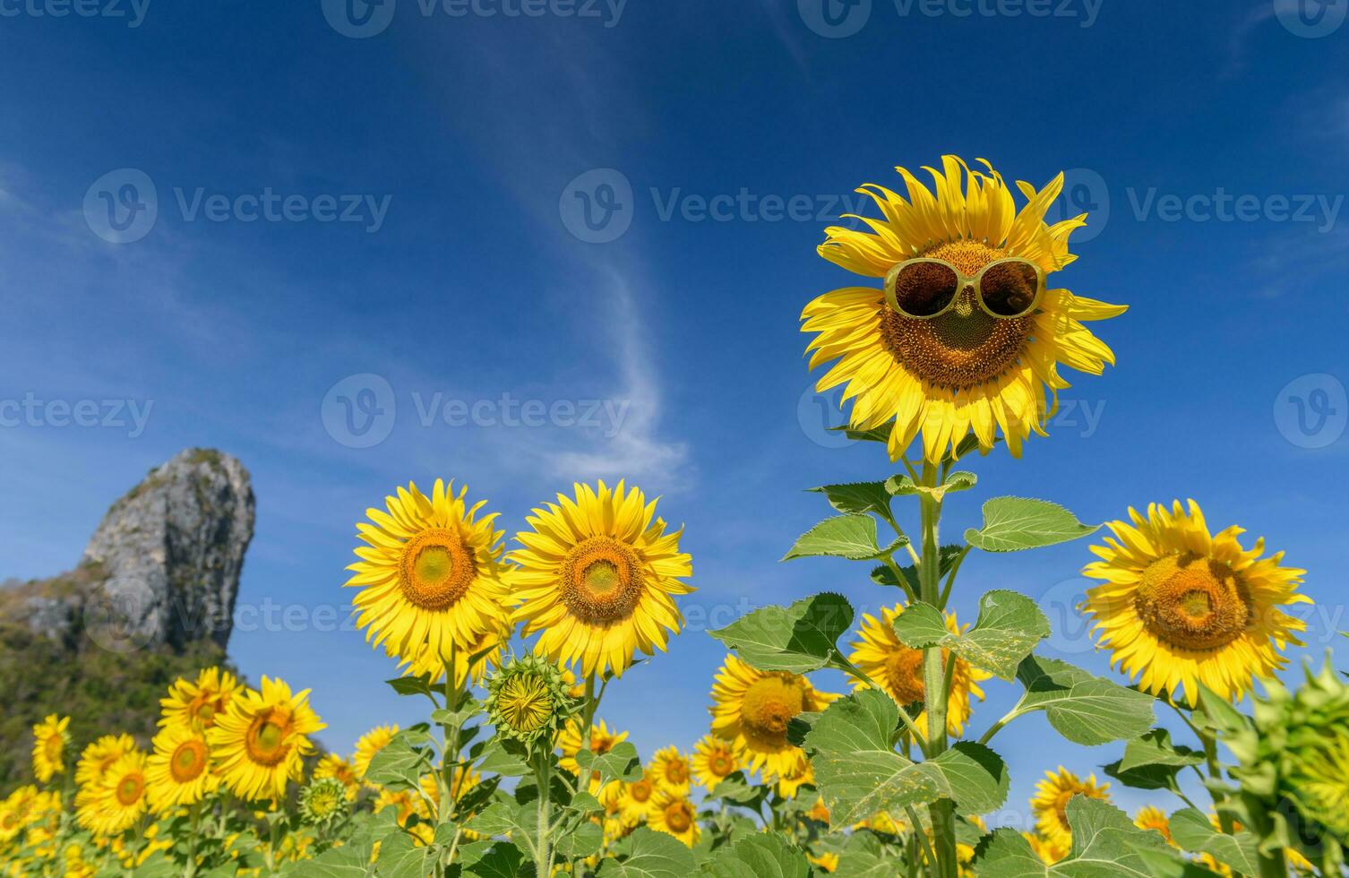 carino girasole indossare occhiali da sole e Sorridi con blu cielo foto