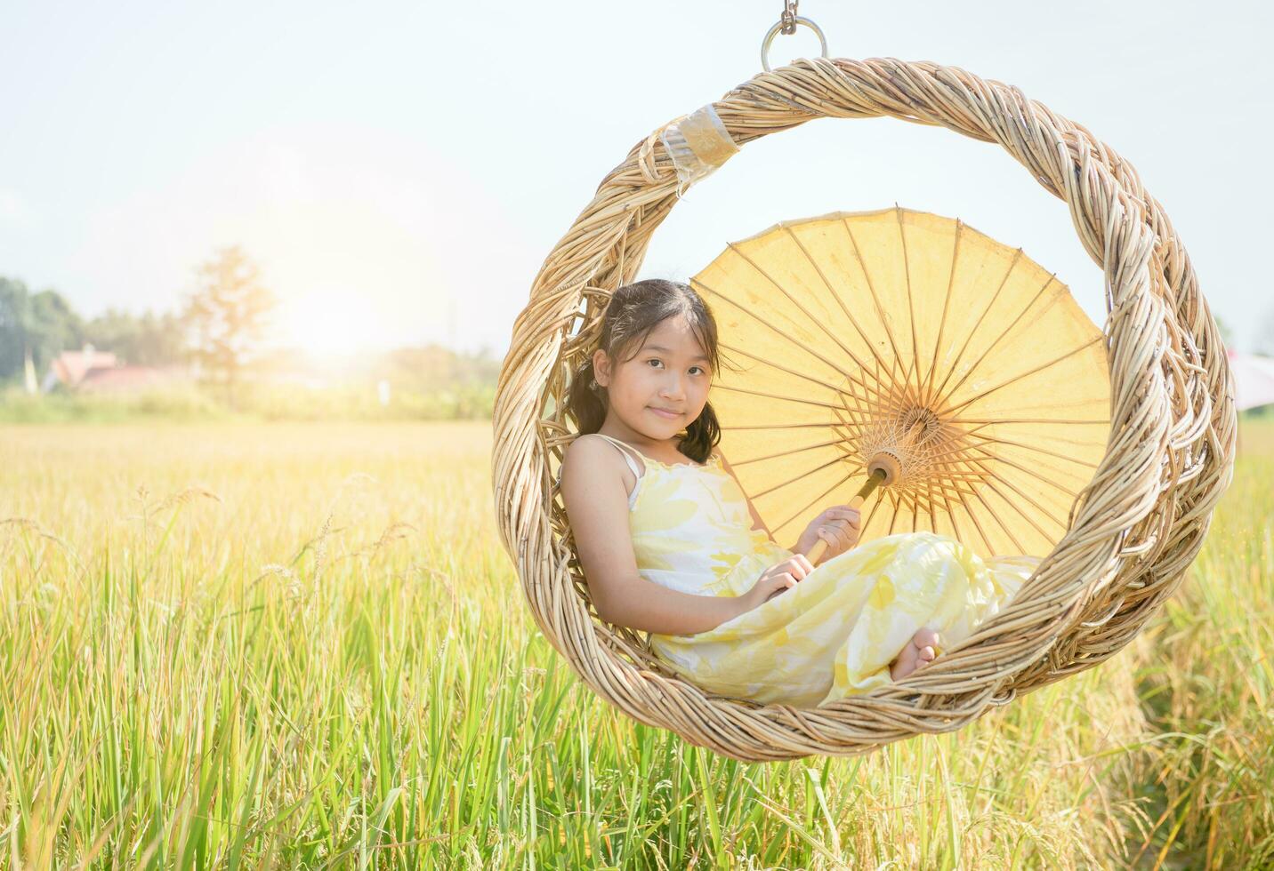 contento ragazza si siede nel di vimini swing tra il d'oro riso campi. foto