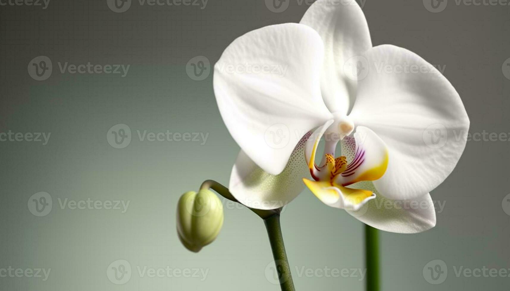 esotico falena orchidea fiore, un' regalo di biologico eleganza generato di ai foto