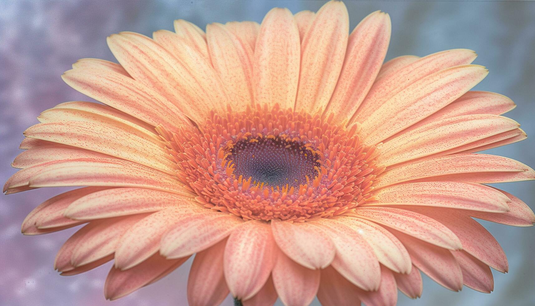 vivace gerbera margherita, un' simbolo di amore e crescita all'aperto generato di ai foto