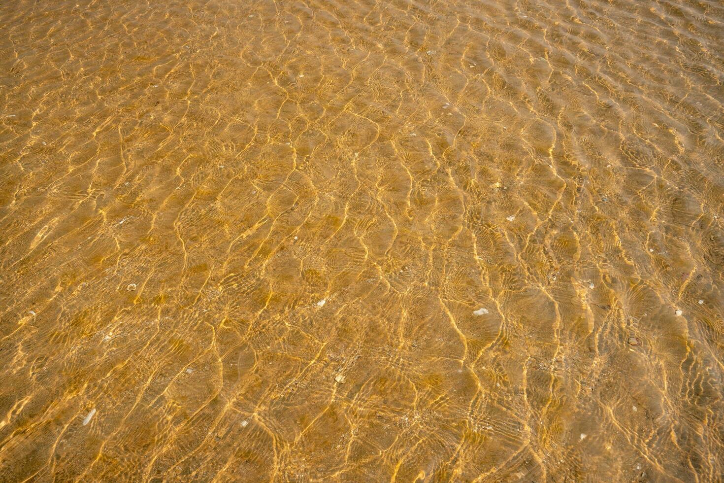 chiaro acqua riflessione vedere Marrone sabbia foto