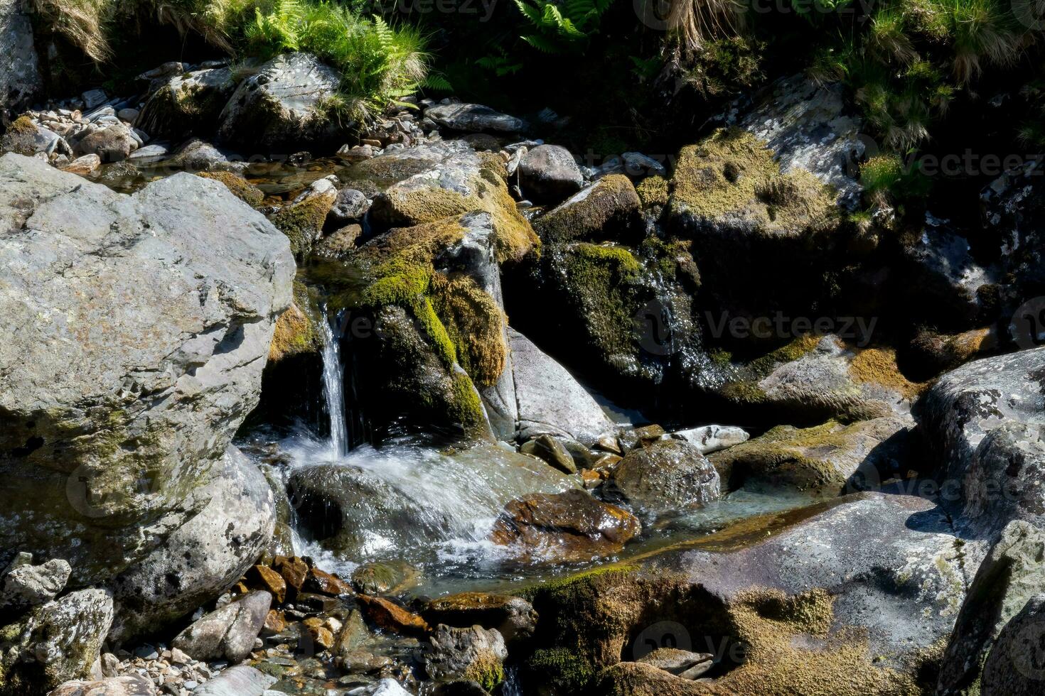 acqua gocciolante al di sopra di rocce nel un' gallese fiume nel primavera foto