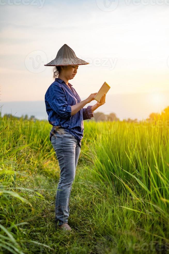 contadina che utilizza una tavoletta digitale mentre si trova in piantine di riso verde in una risaia con un bel cielo e nuvole and foto