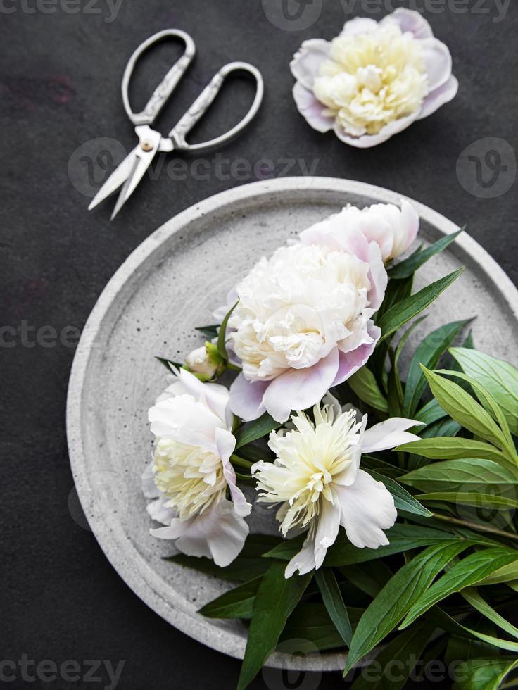 fiori di peonia su uno sfondo di cemento nero foto