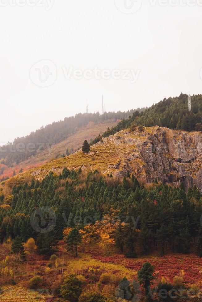 alberi in montagna nella stagione autunnale foto