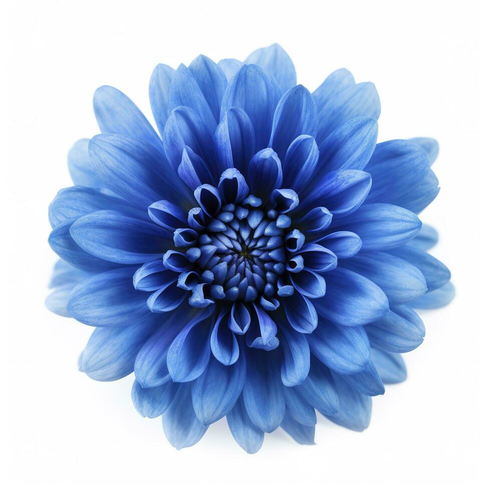 blu fiore isolato su bianca sfondo, creare ai foto