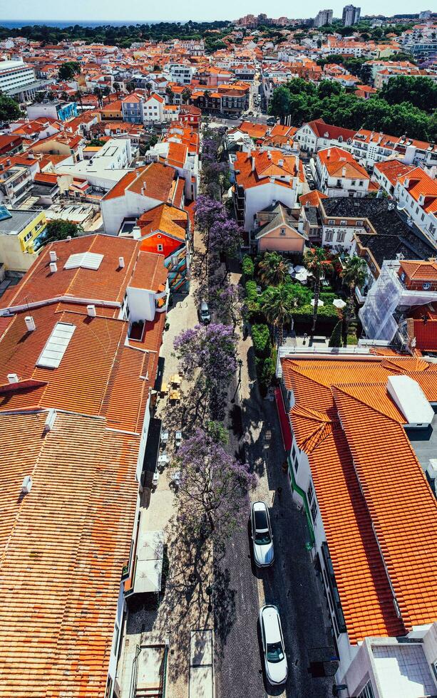 aereo fuco Visualizza di un' strada nel cascais, Portogallo con viola jacaranda albero le foglie durante il primavera foto