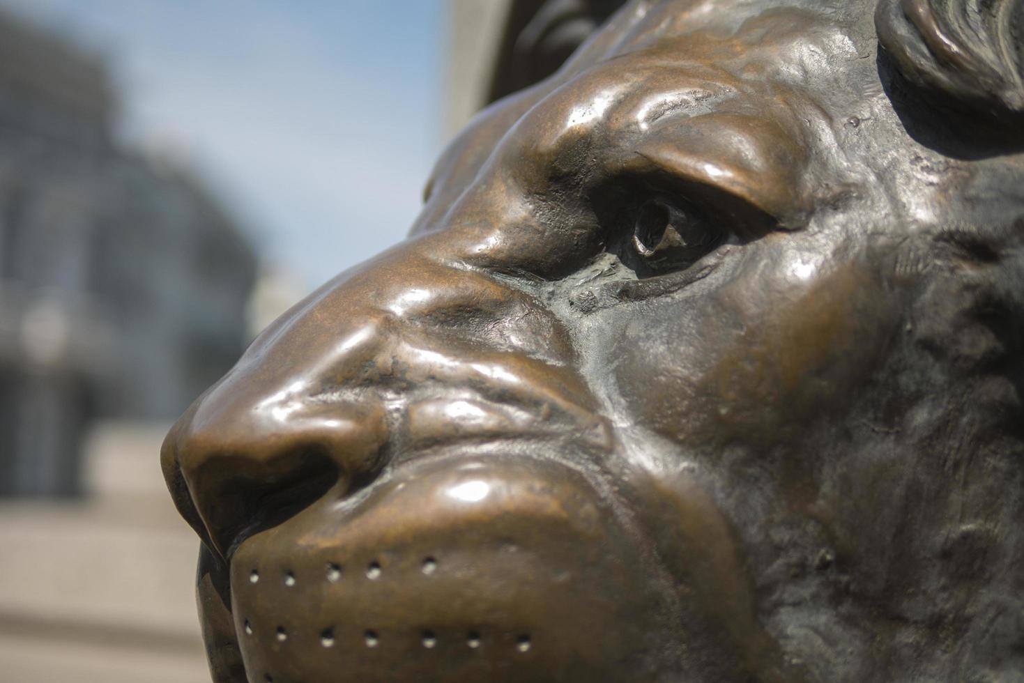 leone di bronzo nel centro storico sul monumento foto