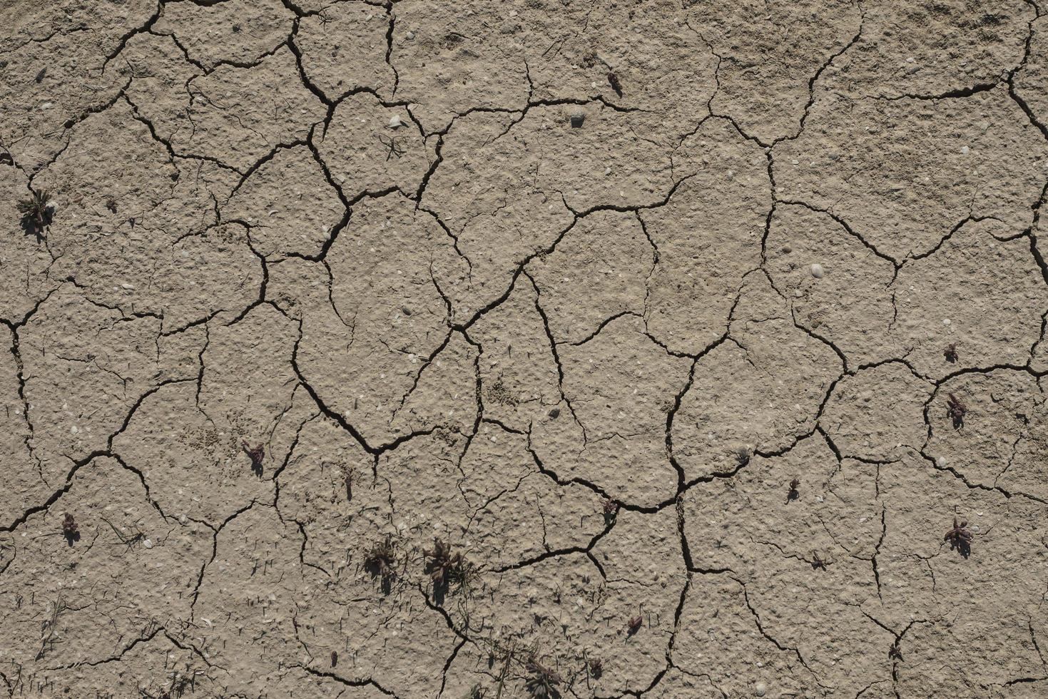 carta da parati terra screpolata foto