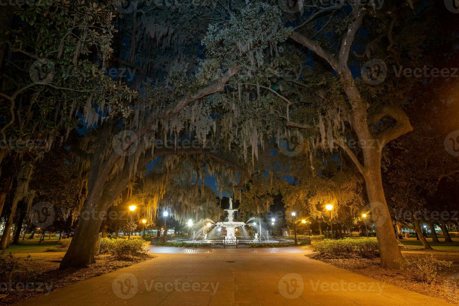 forsyth parco Fontana - savana, Georgia foto