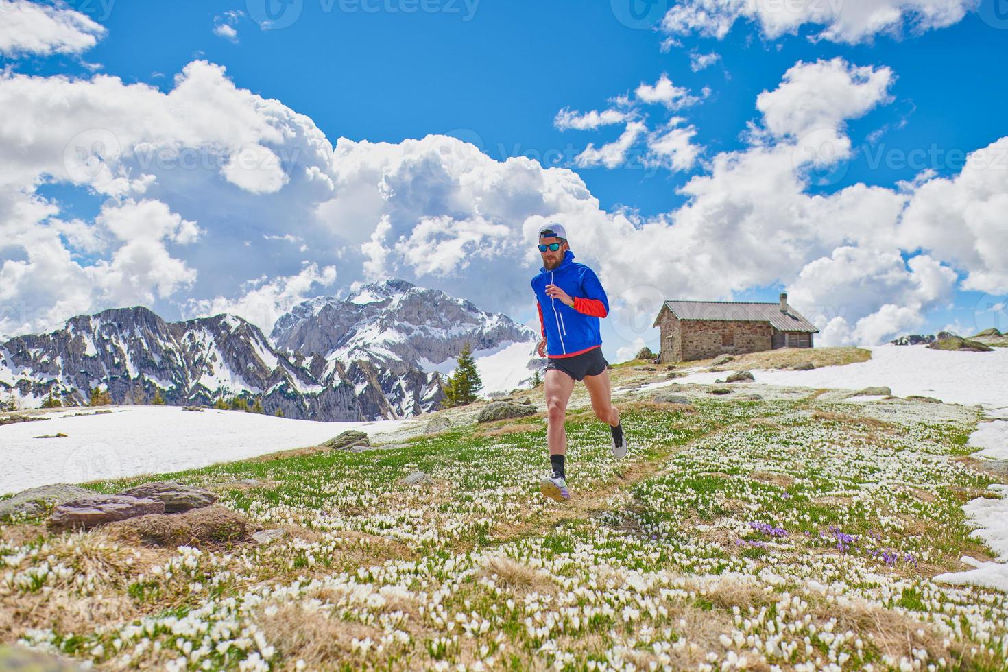 atleta corridore tra i fiori di croco dopo lo scioglimento della neve foto