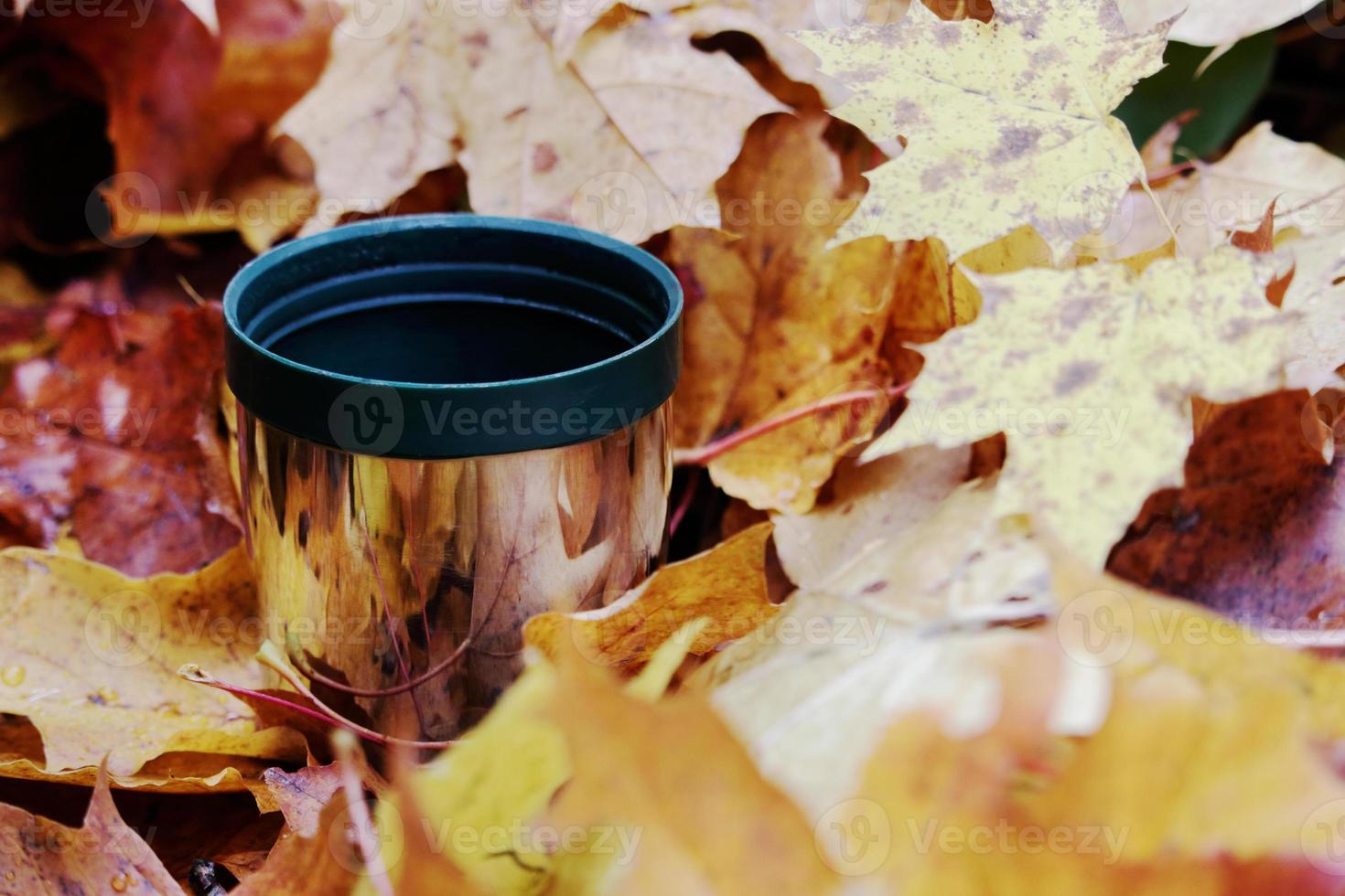 tazza in acciaio inossidabile thermos verde con foglie autunnali foto