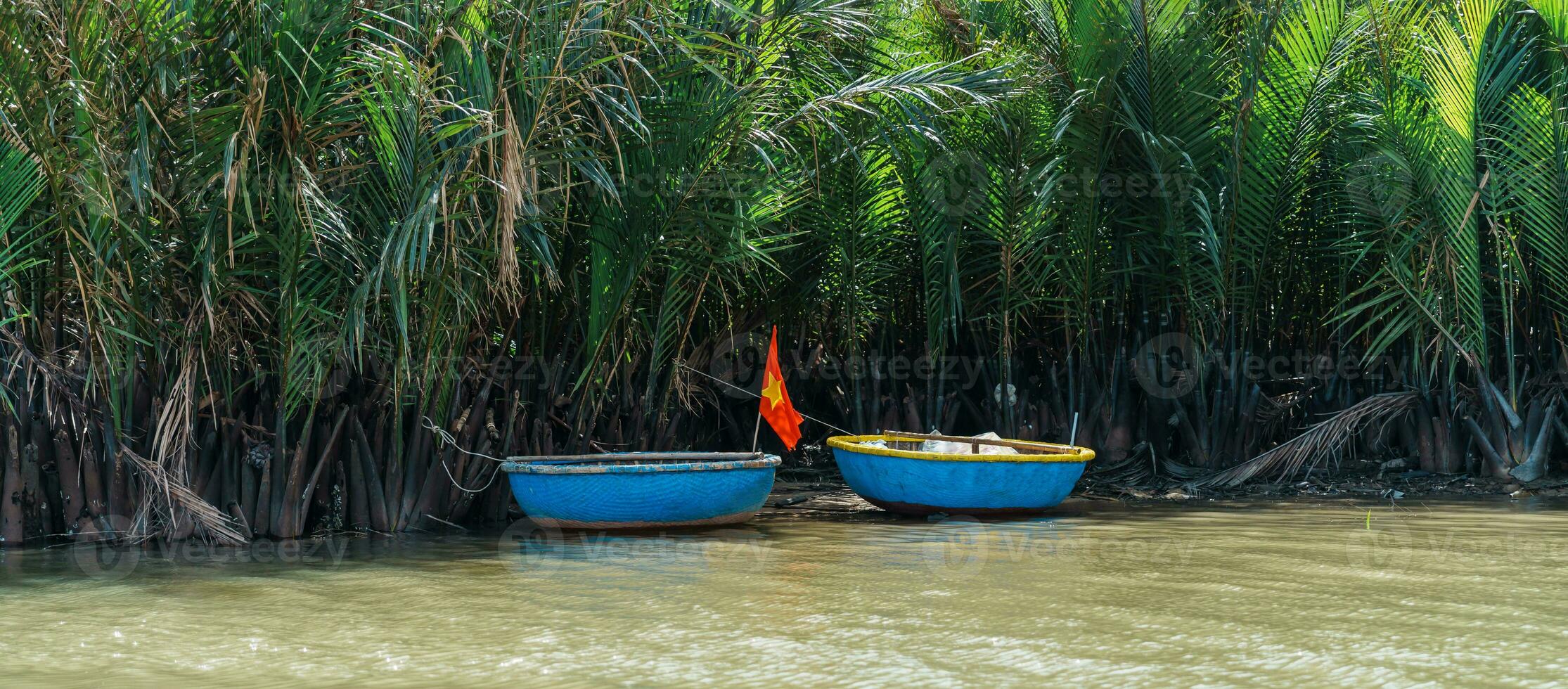 Noce di cocco fiume foresta con cestino Barche, un' unico vietnamita a Camera grazie villaggio. punto di riferimento e popolare per turisti attrazioni nel Hoi un. Vietnam e sud-est Asia viaggio concetti foto