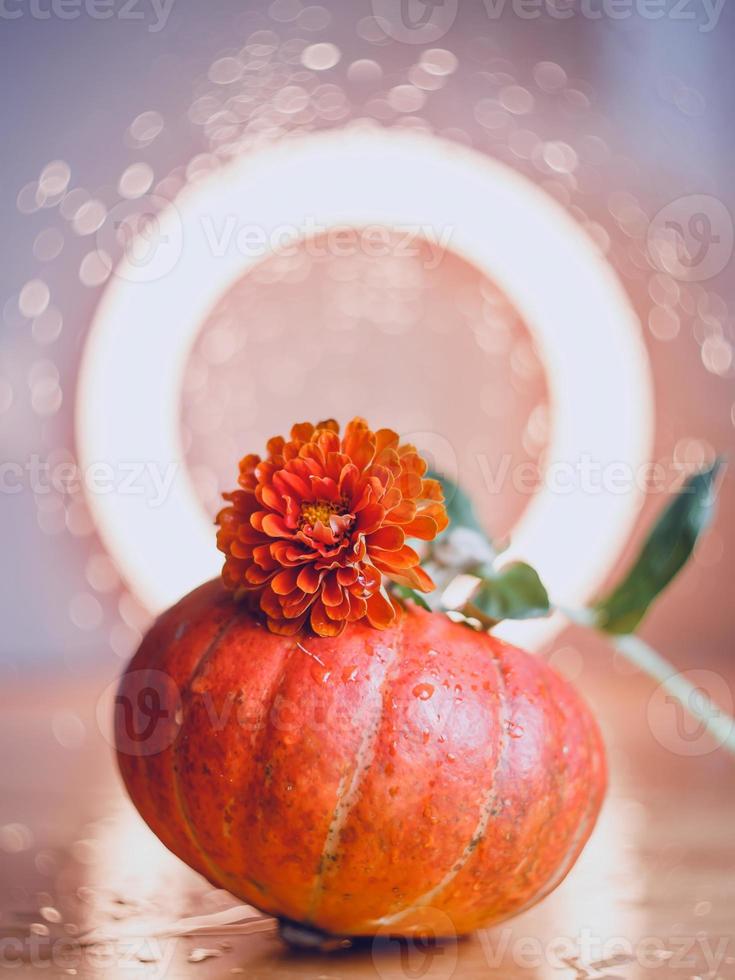 composizione autunnale di zucche e fiori foto