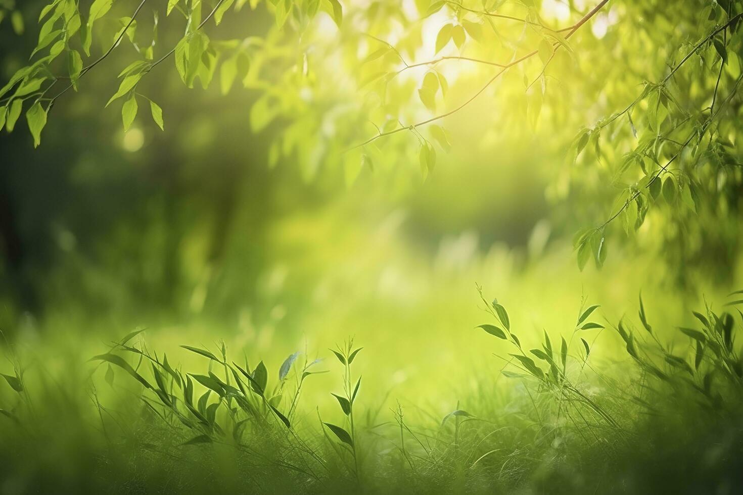 naturale verde sfocato primavera estate sfocato sfondo con luce del sole. succoso giovane erba e fogliame su natura nel raggi di luce del sole, panoramico inquadratura, copia spazio foto