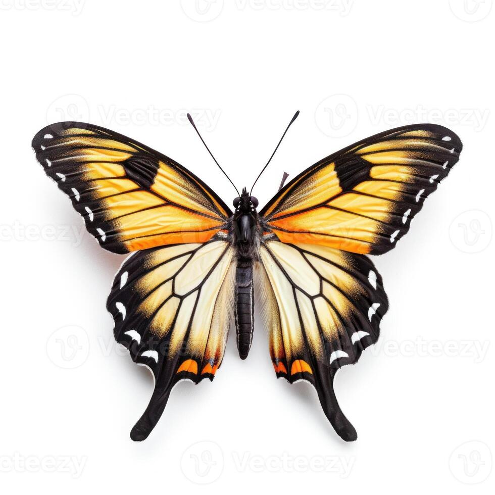 tropicale farfalla isolato. illustrazione ai generativo foto