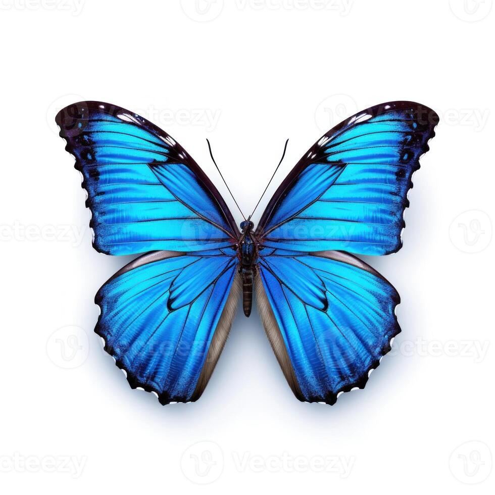 blu farfalla isolato. illustrazione ai generativo foto