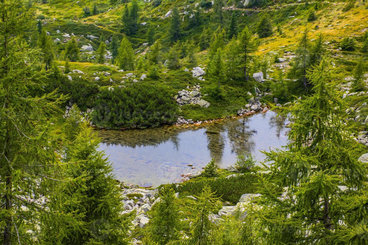 piccolo lago alpino foto