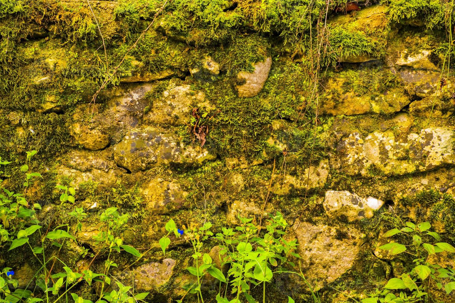 muro di pietra muschioso foto