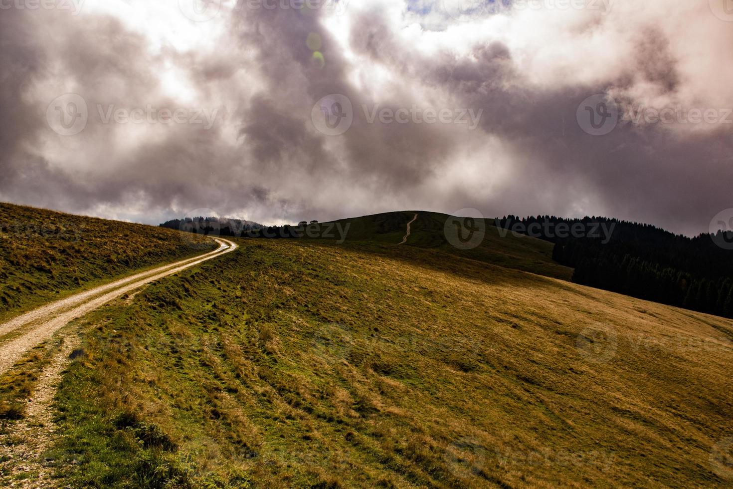 strada di campagna con curve foto