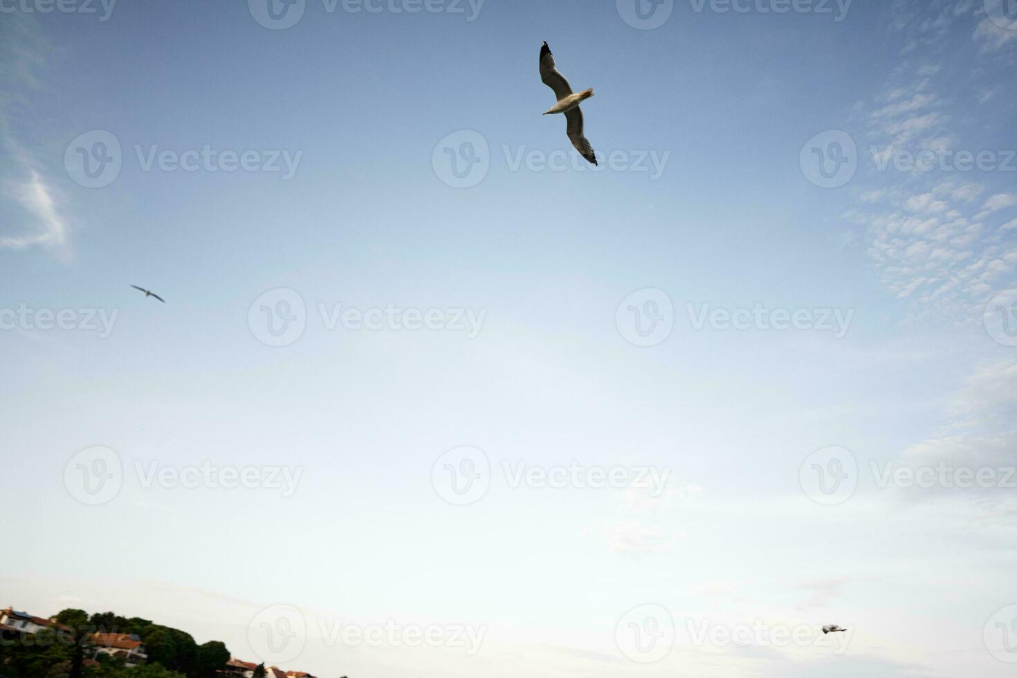 gabbiani volante su il cielo al di sopra di il città di Nessebar, Bulgaria. foto