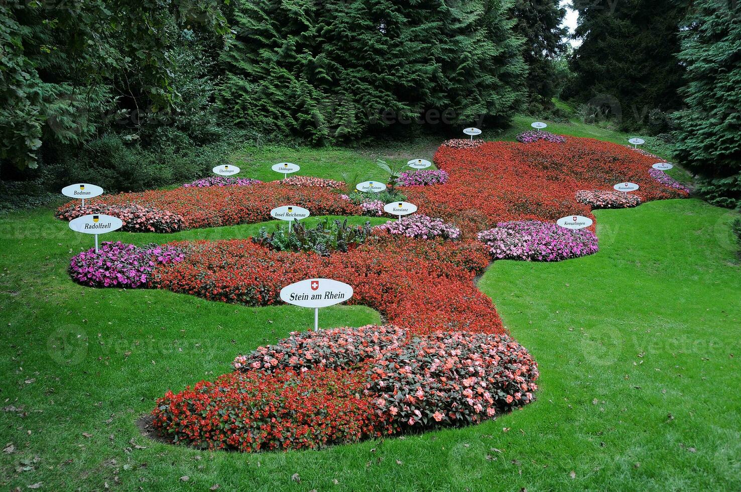 emorragia fiori nel Germania foto