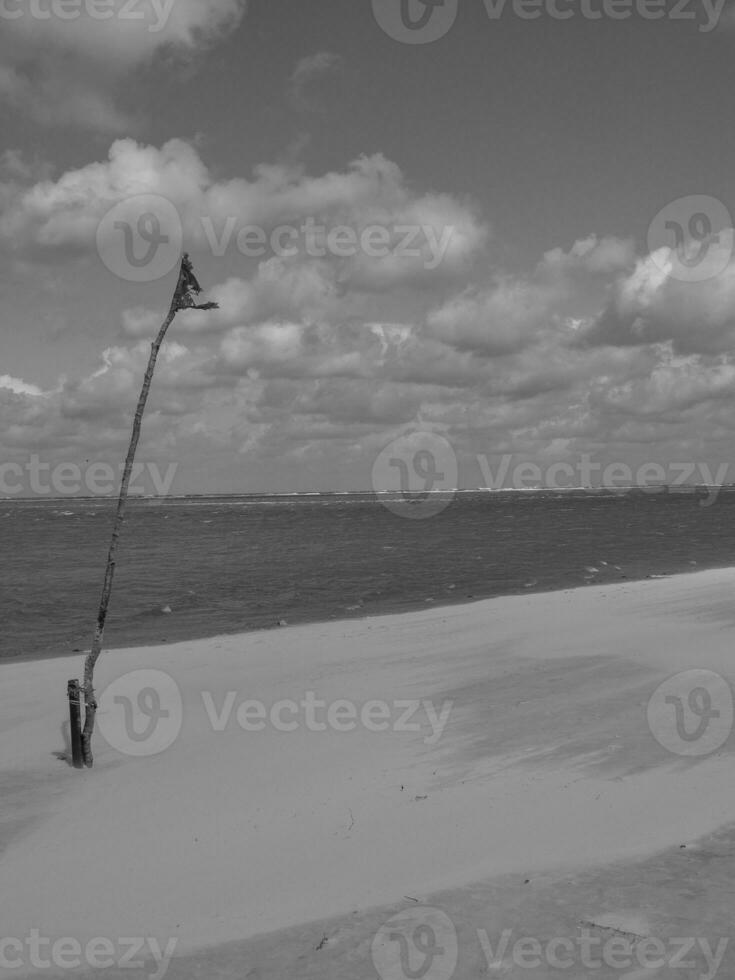 spiekeroog isola nel il nord mare foto